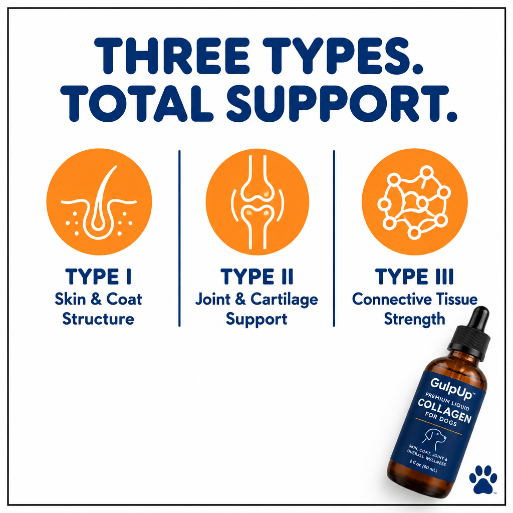 GulpUp Liquid Collagen - Types I, II, III