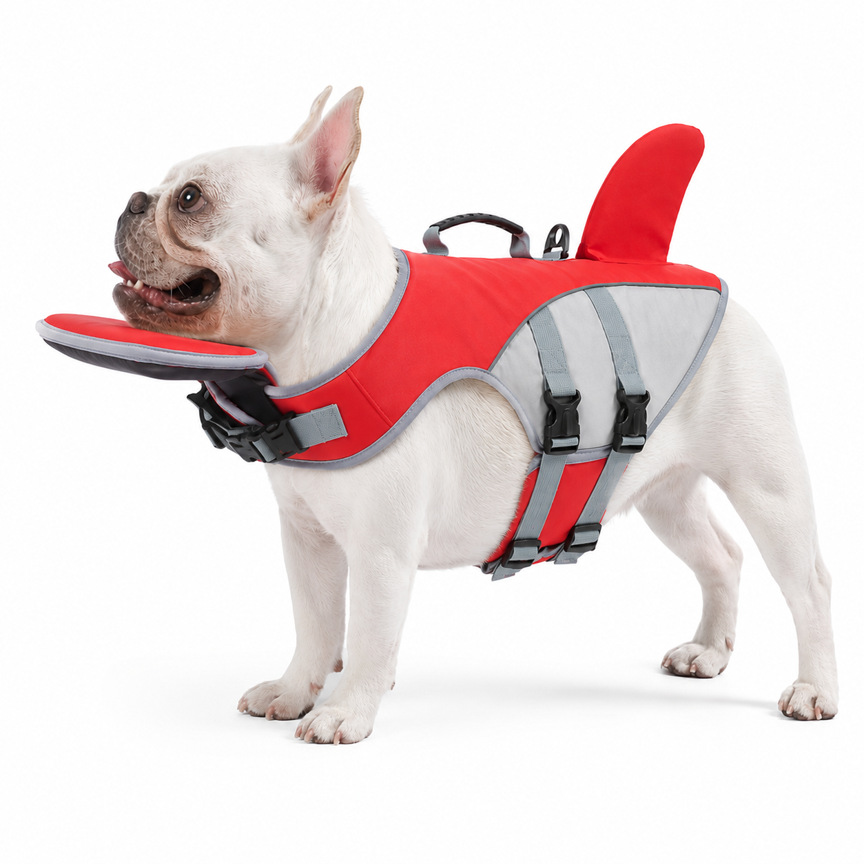 GulpUp SafeFloat Dog Life Jacket - Features