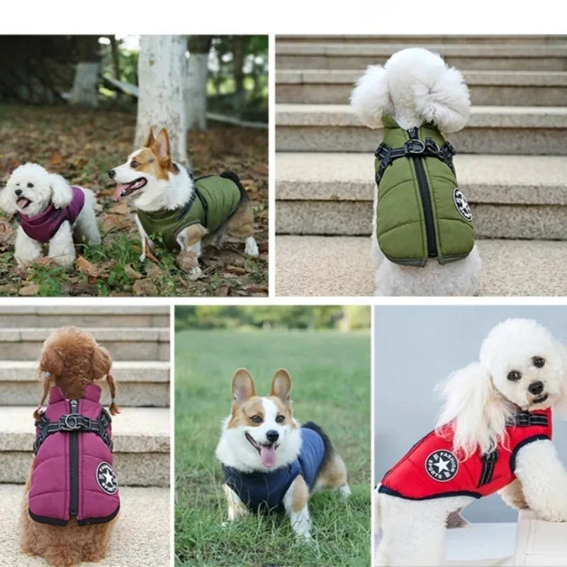 GulpUp™ 2-in-1 Winter Jacket & Harness