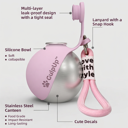 GulpUp™ — The 2-in-1 Dog Water Bottle & Bowl