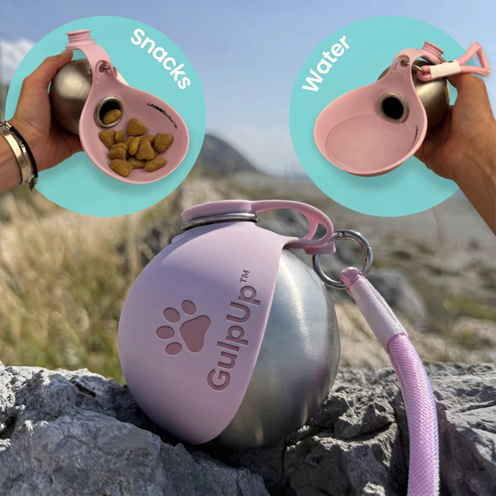 GulpUp™ — The 2-in-1 Dog Water Bottle & Bowl