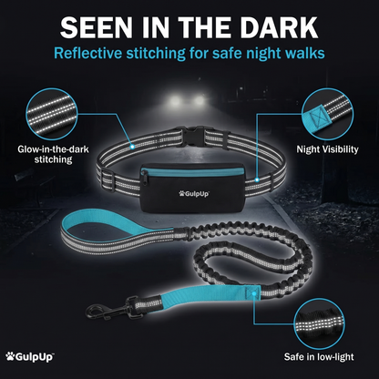 Reflective dog leash and collar with glowing elements on a dark background, featuring the brand 'GulpUp'.