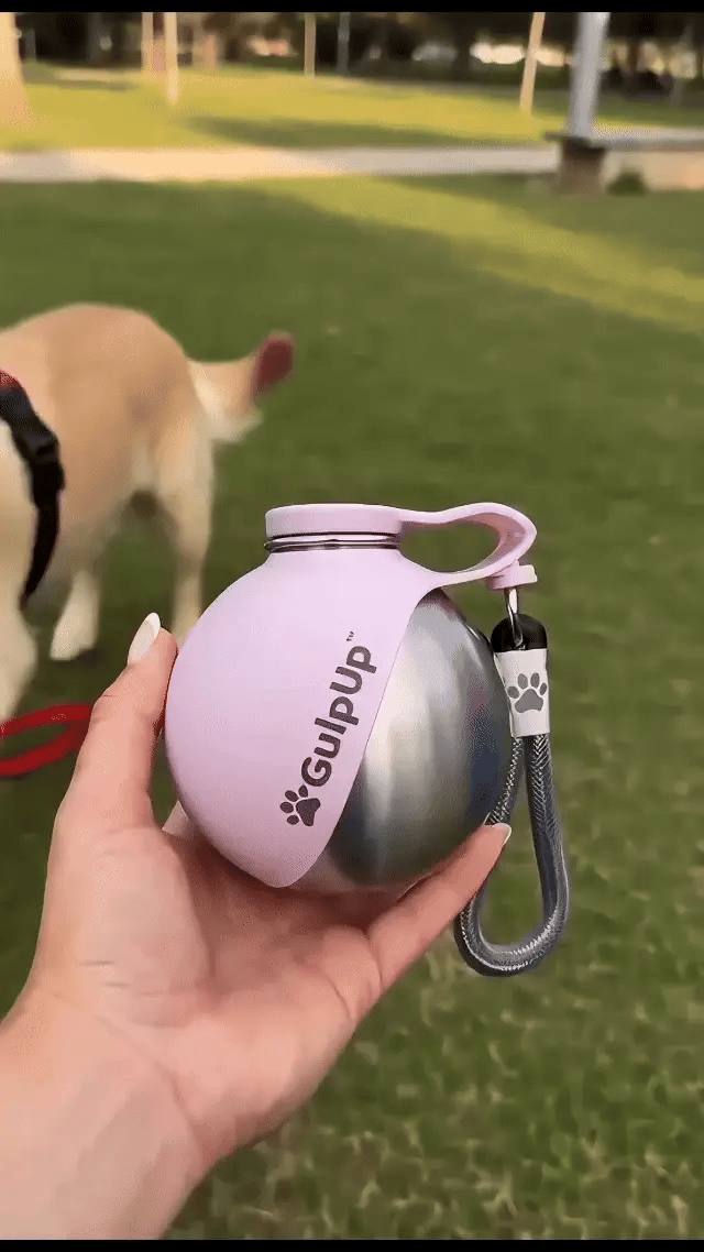 GulpUp Bottle Gif