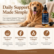 GulpUp daily support benefits infographic