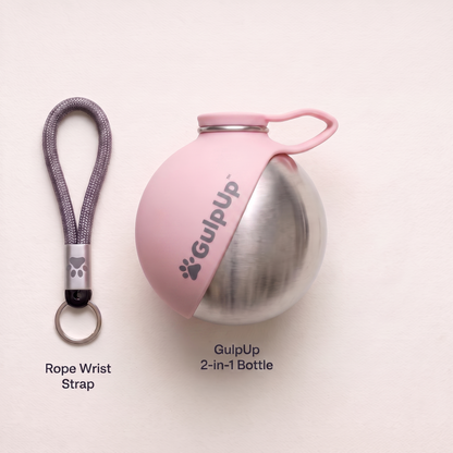 GulpUp™ 2-in-1 Dog Water Bottle & Bowl