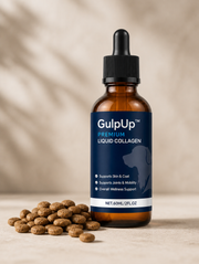 GulpUp Liquid Collagen bottle with dry kibble - lifestyle shot
