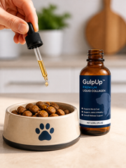 Adding GulpUp Liquid Collagen drops to a dog food bowl - usage demo